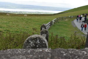 "Irish Fence"