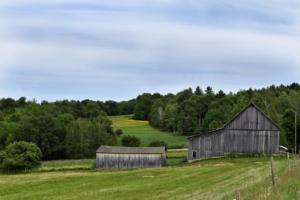 Mud City Loop, Morrisville, VT