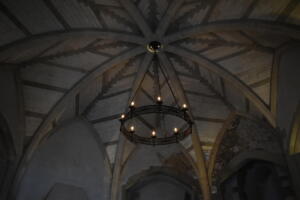 Medieval Ceiling