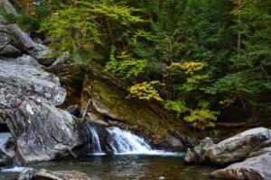 Brewster River Waterfall